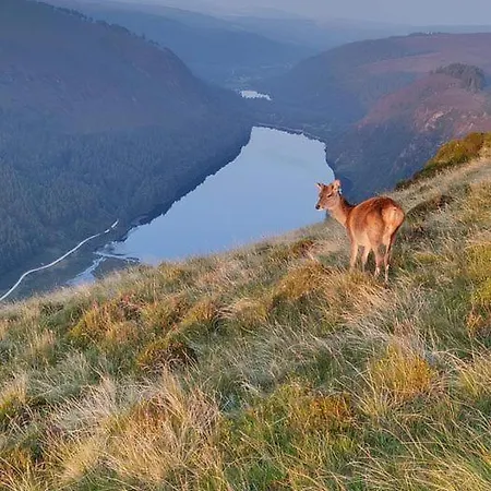 Oakville Entire House Tatil Evi *